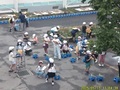 ホウセンカもぐんぐん成長しています!