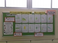子どもたちの作品を掲示する学年もあります。