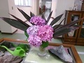職員玄関を入ると紫陽花の花が出迎えてくれます。