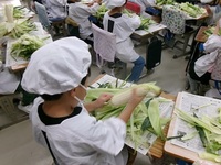 意外と難しかった?それとも簡単だった?