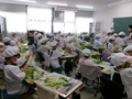 とうもろこしの皮むき体験に挑戦です!