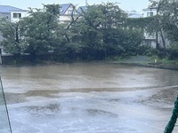 夜中から明け方の雨で校庭は水浸しでした☔