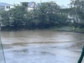 夜中から明け方の雨で校庭は水浸しでした☔
