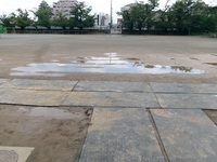 校庭は水たまりでいっぱい