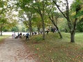 緑の体験活動では、落ち葉を拾いをがんばりました🍂
