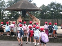 ちょうどキリン🦒がごはんを食べていました。