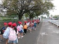 東武動物公園に到着。たくさんの動物たちが1年生を待っています。